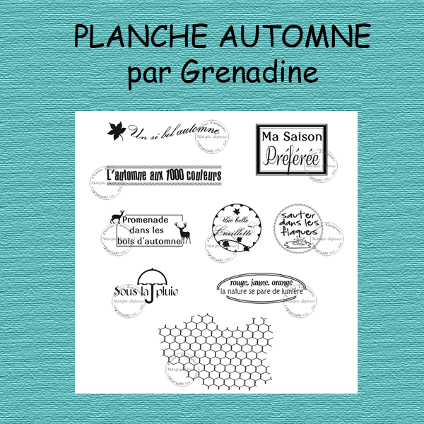 PLANCHEAUTOMNEGRENADINE