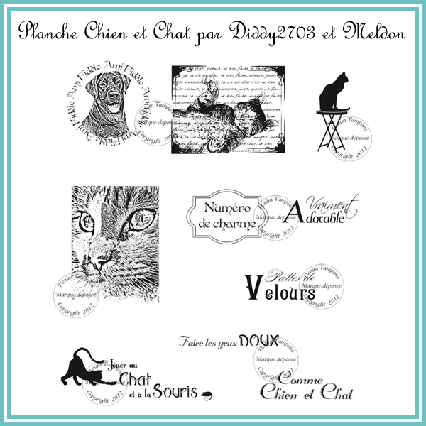 planche_chien_et_chat