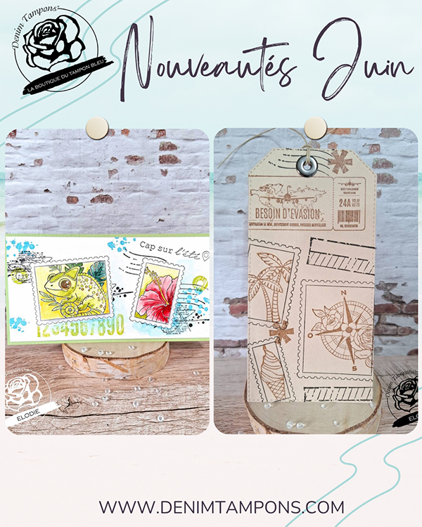 nouveautes reas juin4
