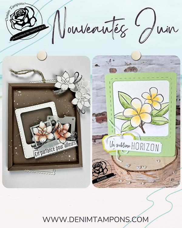 nouveautes reas juin5