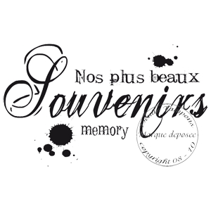 2. de 2 à 4.99 € TAMPON NOS PLUS BEAUX SOUVENIRS par Scrapfaconed