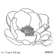 289e02