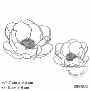 289g03