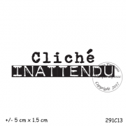 291c13