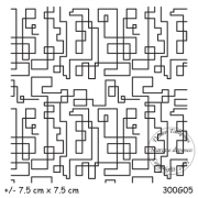 300g05
