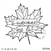 301d06