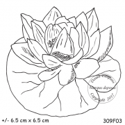 309f03