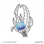 425c09