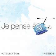 495b03