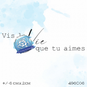 496c06